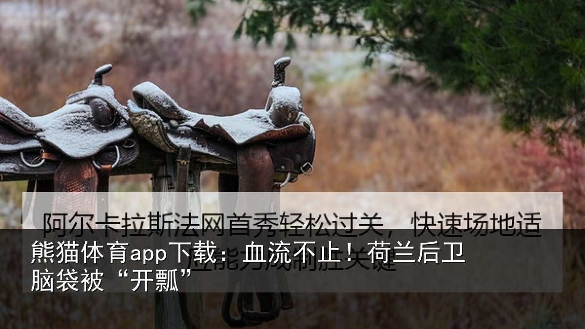 熊猫体育app下载:血流不止!荷兰后卫脑袋被“开瓢”
