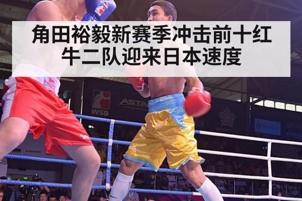 角田裕毅新赛季冲击前十红牛二队迎来日本速度